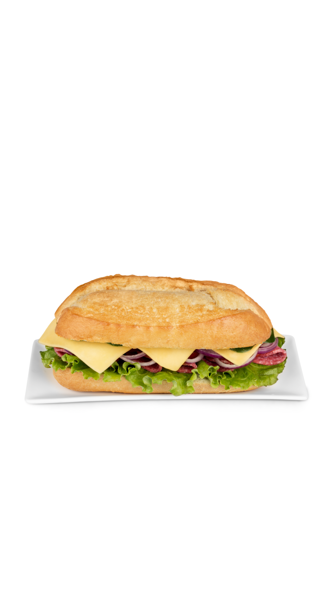 SOĞUK SANDVİÇ ÇEŞİTLERİ